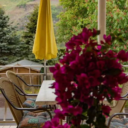 Weinhaus Moselblick 3*