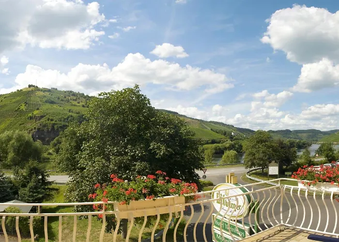 Weinhaus Moselblick 호텔